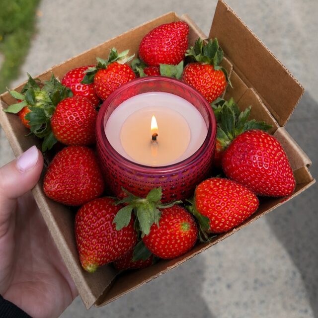 Summer is peaking. The rains are coming. And your shelves need to smell like both.
This is the season your customers feel the most. The first rain on dry earth. Sun-warmed fruit at its sweetest. Evenings that shift from golden to cool without warning.
That feeling deserves a candle worthy of it.

Introducing our Summer and Harvest Season Exclusive Collection.
Deep ruby and berry-toned glass vessels filled with fragrances built for this exact moment in the calendar. Fragrances that feel like the season, not just smell like it.
Think sun-ripened fig. Fresh strawberry and cream. Wild berry and cedarwood. Petrichor and white musk. Warm amber and crushed peach.
Scents that make a customer stop at the shelf, pick it up, and not put it down.

Why seasonal collections are your biggest commercial opportunity right now:
Seasonal exclusivity drives urgency and faster purchase decisions
Limited edition vessel colors command higher retail price points
Harvest and summer fragrances are among the highest searched gifting categories globally
Colored glass jars in berry, ruby and blush tones photograph beautifully, driving organic social sharing for your brand

MOQ 500 units. Custom fragrances available. Private label and OEM ready. Worldwide export.

DM us or comment HARVEST to receive our seasonal collection lookbook and wholesale pricing.
Crafting Premium. Exporting Worldwide.

#SeasonalCandles #HarvestCollection #SummerFragrance #WholesaleCandles #GlobalCandleExporter